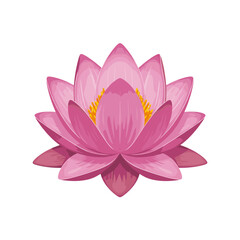 Pink lotus flower illustration with detailed petals and center  