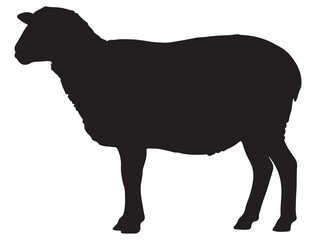 SHEEP SILHOUETTE