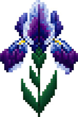 Pixelated illustration of a vibrant purple and white iris flower.