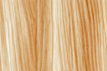 Naklejka premium Seamless detailed texture of a light wood surface with natural grain patterns