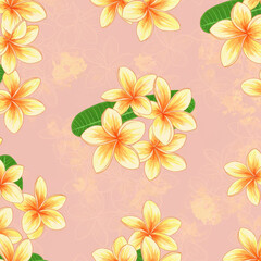 Obraz premium Tropical seamless pattern with plumeria flowers watercolor background on pastel pink. Romantic frangipani summer repeat backdrop. Botanical clip art in yellow and orange colors for fragrant designs
