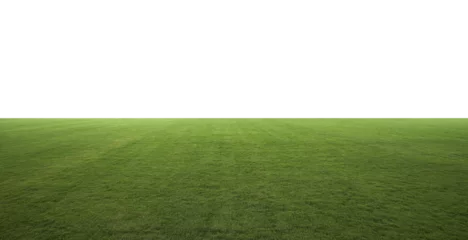 Fotobehang Green grass field with transparent background extending into empty space © jamesteohart