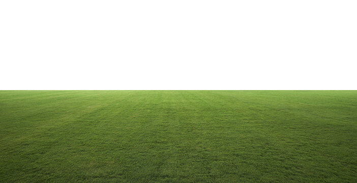 Fototapeta Green grass field with transparent background extending into empty space