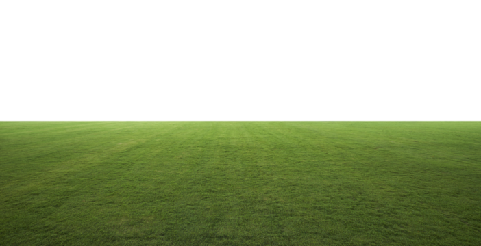 Green grass field with transparent background extending into empty space