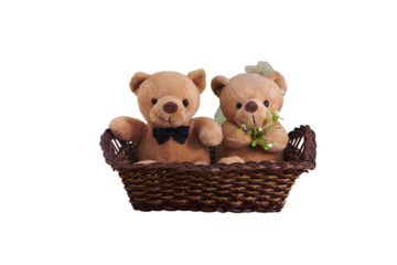 Two teddy bears, dressed as bride and groom, sitting in wicker basket on transparent background