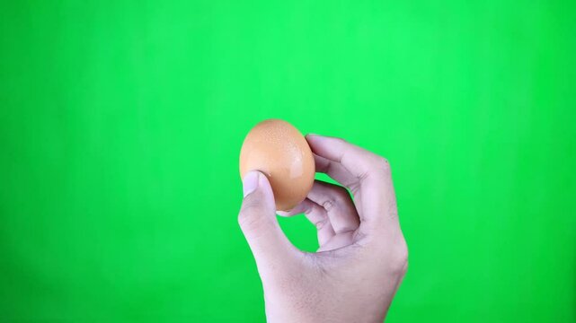 Right hand holds fresh chicken egg and rotates it on green screen background