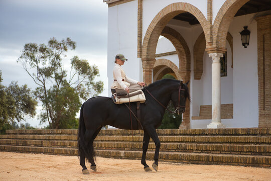 Young horsewoman riding a black Spanish thoroughbred horse next to an old hermitage. She has a saddle at her side and a riding crop in her hand. Concept riding, horsewoman, horse, dressage.