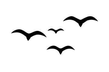 Solid Black Backdrop Blank Simple Texture