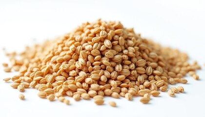 Fototapeta premium Isolated heap of wheat grains, white background. Raw, organic food ingredient for healthy diet. Macro closeup of cereal seeds, agriculture harvest crop, natural nourishment.