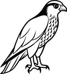 bird of prey silhouette 