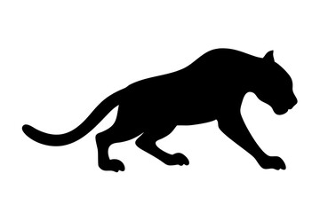 Obraz premium Solid Black Image Dark Blank Background Texture