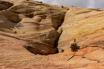 Various views of the landscape surrounding the Checkerboard Mesa area in Zion National Park in Utah
