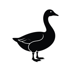 Goose Silhouette, Goose vector Art & Illustration on a white background