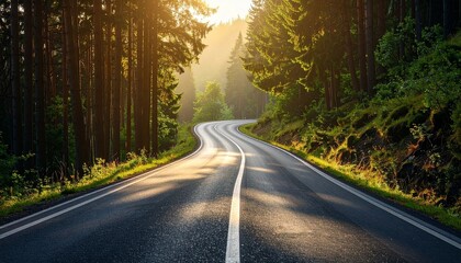 Fototapeta premium Beautiful hilly road with smooth asphalt surface, going up and down through a forested area