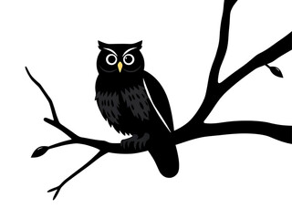 Night Watch: Silhouette of an owl perched on a tree branch, observing the stillness of the night with its keen gaze. It is a simple yet captivating image of nature's silent sentinel.