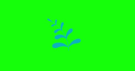 Cartoon simple eleven eleven leaves plant fern grow greenbox. Business style plant good for explainer. Flat vector simple business style infographic animation 4k video motion design graphic.