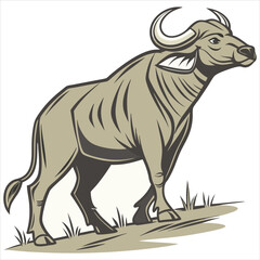 vector illustration of cartoon bull