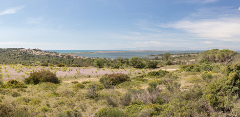 Panorama de Leucate plage et de l'étang  dans la région Occitanie. (11370) France