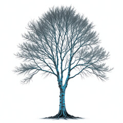 Slender silver birch tree, its white bark streaked with cyan glowing veins, full tree, png transparent background