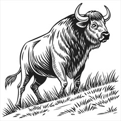 vector illustration of cartoon bull