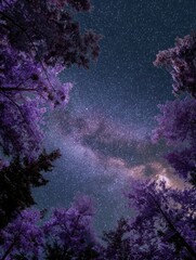 coral reef in the night