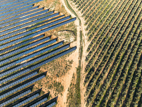 A drone captures the solar farm in Zaragoza—an orderly grid of technology transforming the Spanish countryside with the promise of a cleaner future.