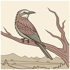 bird voctor color flower illustration