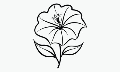 Petunia Flower Line Drawing