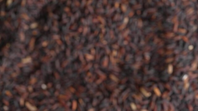 Macro video of black rice kept on rotating disk. Close up video of organic black rice.
