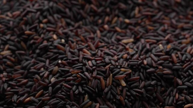 Macro video of black rice kept on rotating disk. Close up video of organic black rice.