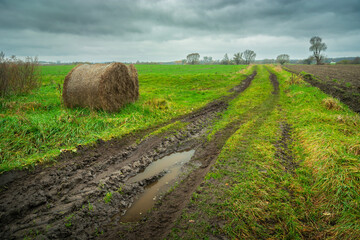 Muddy dirt road with puddle through green fields with hay bales and cloudy sky