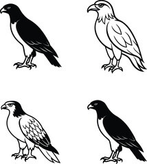 Fototapeta premium set of birds silhouette