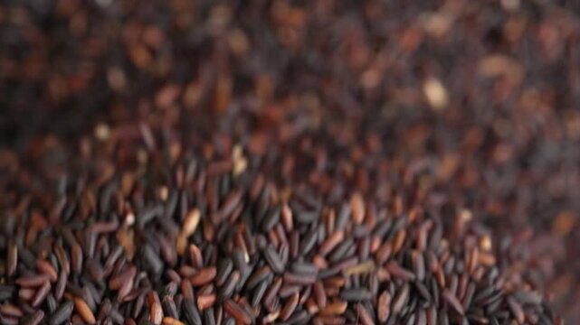 Macro video of black rice kept on rotating disk. Close up video of organic black rice.