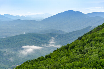 Rolling mountains stretch into distance with lush green forests in foreground. Mist drifts through valleys, creating serene and tranquil ambiance. Soft morning light enhances natural beauty