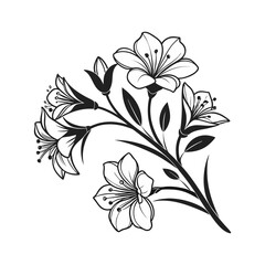 Floral Elements Vector Illustration for Designs
