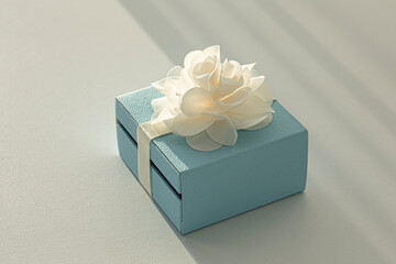 Skyblue color Jewelry Boxes on white background.