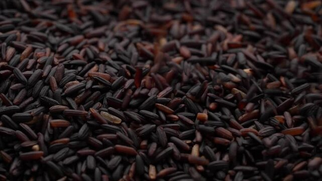 Macro video of black rice kept on rotating disk. Close up video of organic black rice.