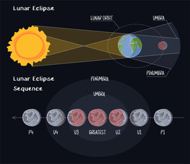 Infographic of lunar eclipse stages in flat style on black background. Moon's orbit, umber and penumbra. Blood moon phases. The contact of the earth shadow with the moon