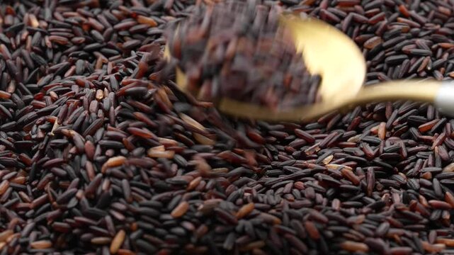 Macro video of black rice kept on rotating disk. Close up video of organic black rice.