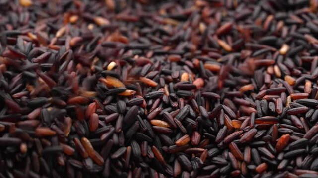 Macro video of black rice kept on rotating disk. Close up video of organic black rice.