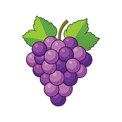 Fototapeta premium grapes.eps