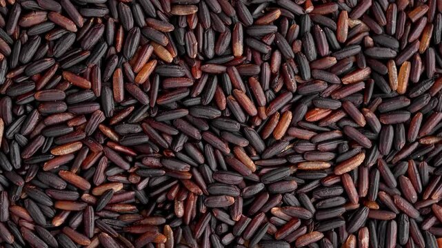 Macro video of black rice kept on rotating disk. Close up video of organic black rice.