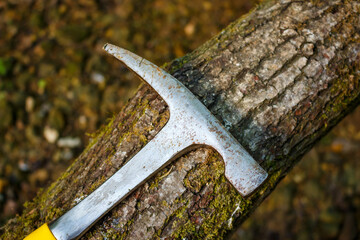 Steel geological hammer lying on a tree