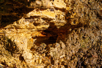 Water outlet from clay layers close-up