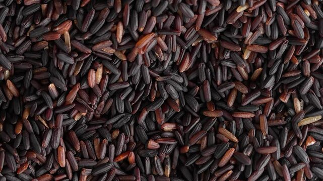 Macro video of black rice kept on rotating disk. Close up video of organic black rice.