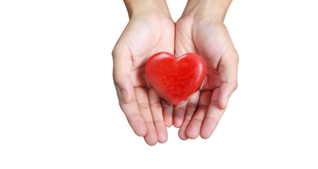Caring gesture of love hands holding heart conceptual image close-up view emotional expression