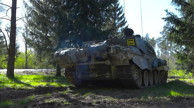 Rare low angle footage of a British Chellenger 2 4034 tank hidden and camouflaged in a sunny forest while green grass and large pine trees surround it during a summer SIIL 2025 exercise during day.