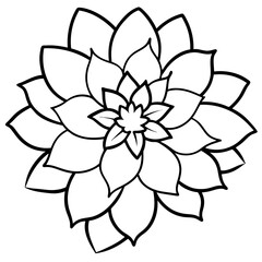 black and white flower