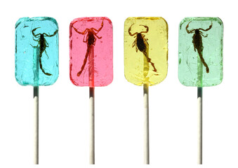 Scorpion lollipops / transparent background