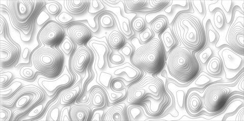 paper cut 3d render topography abstract, beautiful white Background. geometric map relief texture with curved layers and shadow. Realistic papercut decoration textured with wavy vector design.